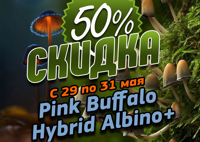 Скидки на споры грибов
