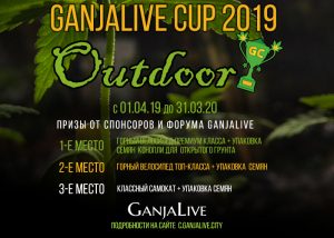 GanjaLive удивляет размахом конкурса для гроверов