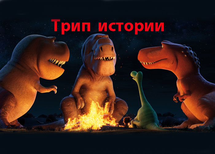 Расскажи о трипе или необычные приключения с грибами и коноплей