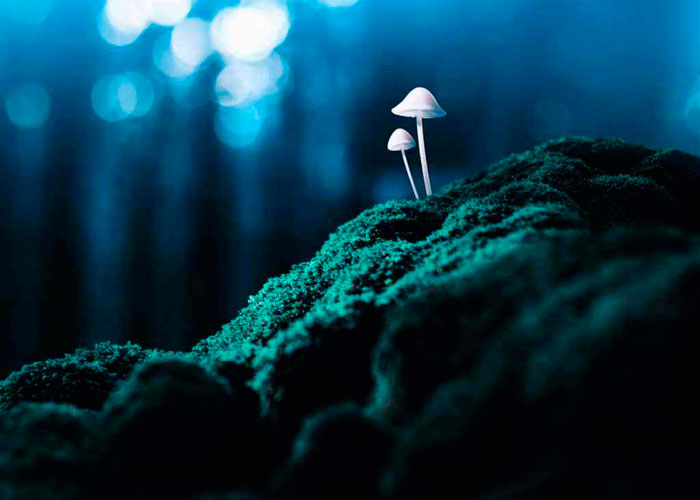 Как протекает странствие