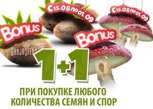 Акция от Ganja Seeds: все заказы х2