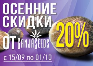 Семена конопли