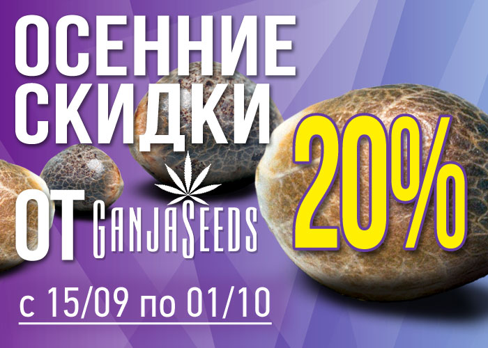 Семена конопли