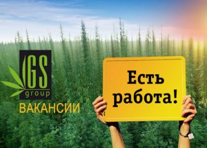 Вакансии