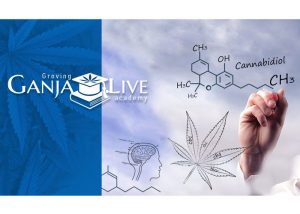 Специальности по факультетам