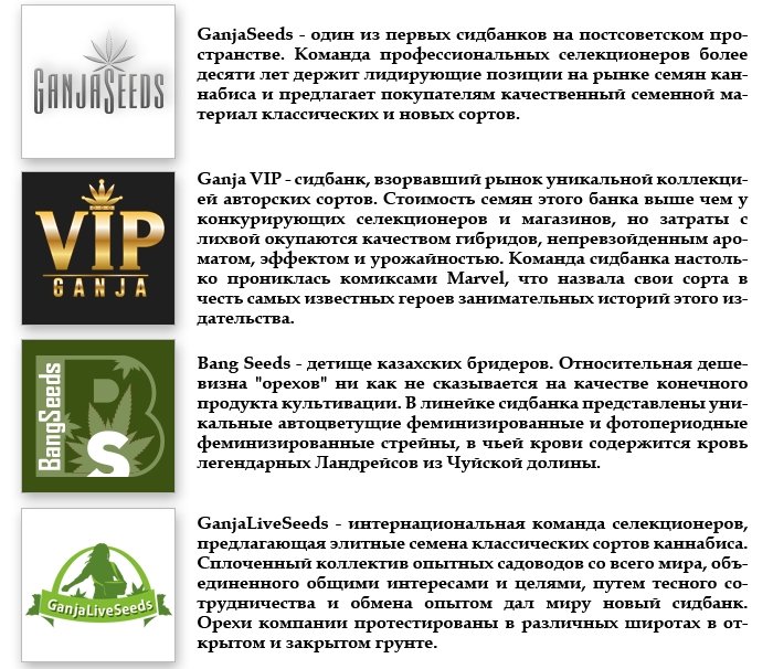 Дорогие друзья, GanjaSeedsGroup предлагает всем желающим семена конопли элитных сортов по оптовым ценам