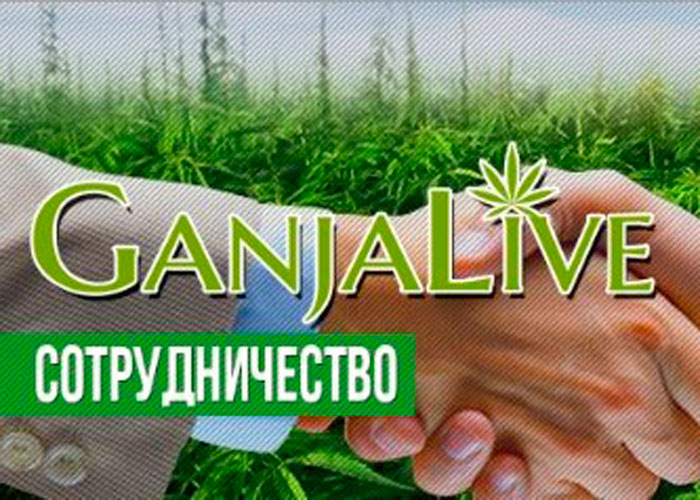 GanjaSeedsGroup
