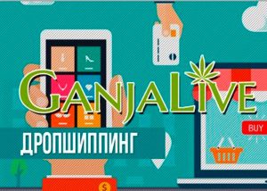 Дропшиппинг