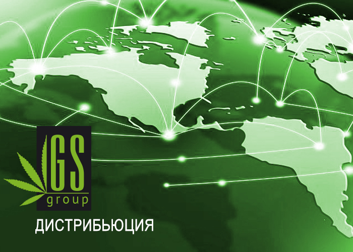 Дистрибьюция