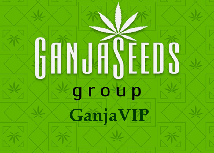 семена конопли GanjaVIP