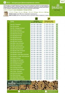 BULK - автоцветущие феминизированные семена конопли