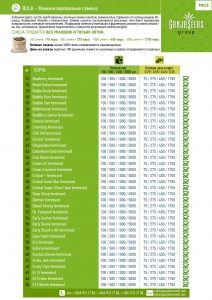 Прайс BULK - Феминизированные семена