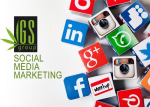 SMM - Social Media Marketing