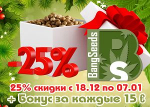 BangSeeds: скидка на семена конопли и споры грибов -25%