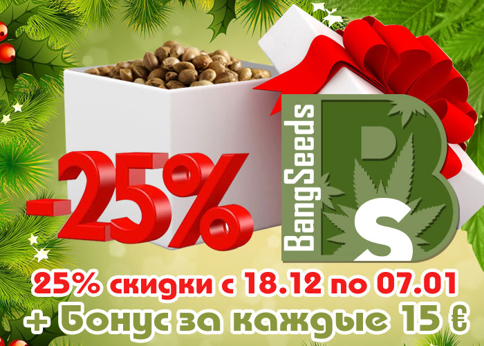 BangSeeds: скидка на семена конопли и споры грибов -25%