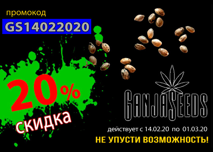 GanjaSeeds: В день святого Валентина скидка 20%