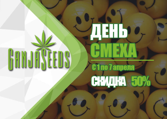 скидки на семена конопли до 50%!
