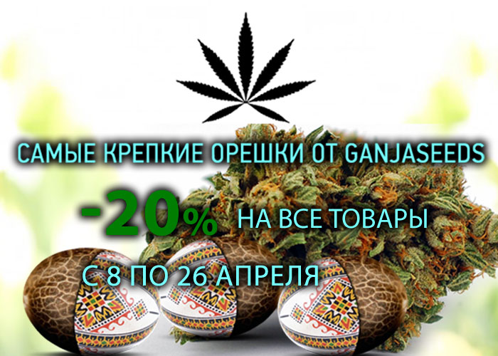 Весенние скидки на семена конопли от GanjaSeeds