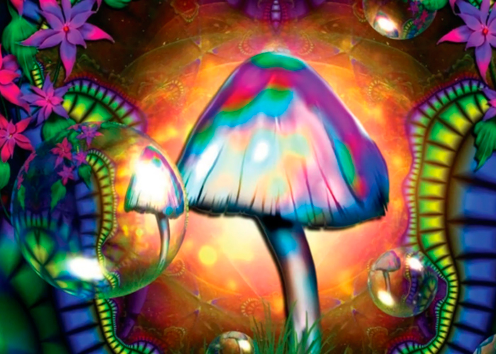 псилоцибиновые грибы