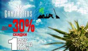 Скидки на семена конопли
