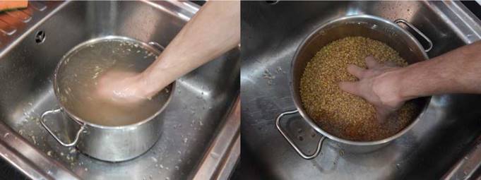 Выращивание грибов