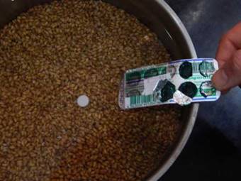 Выращивание грибов