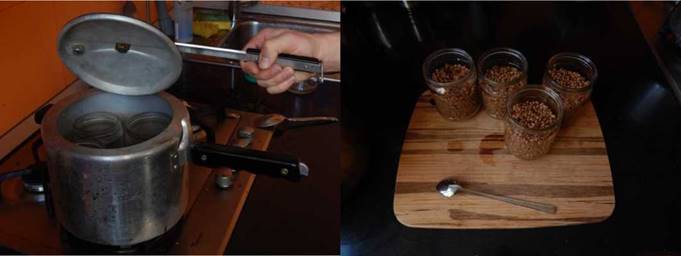 Выращивание грибов