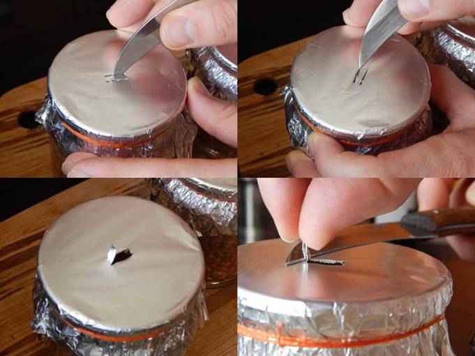 Выращивание грибов