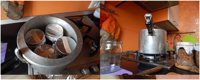 Выращивание грибов