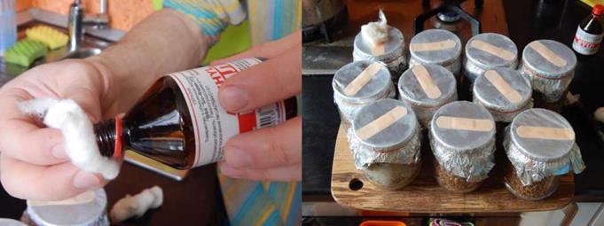 Выращивание грибов