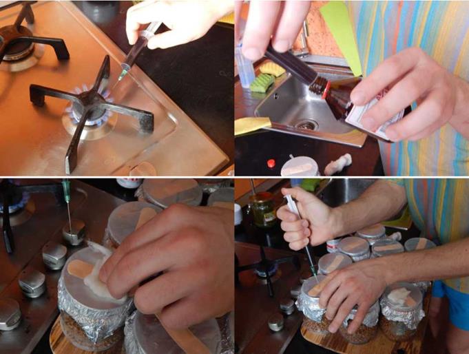 Выращивание грибов