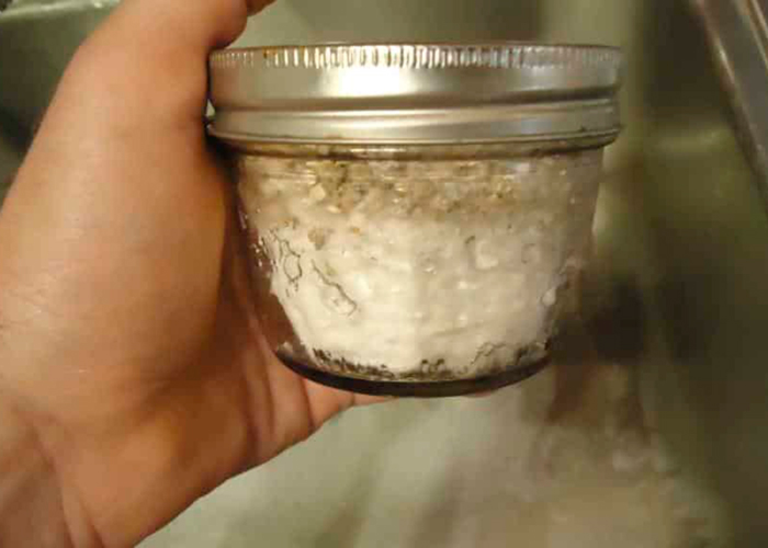 Как вырастить «магические» грибы 