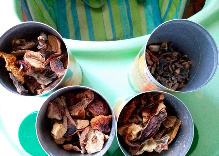 Употребление грибов в пищу