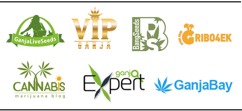 Спонсоры и партнеры