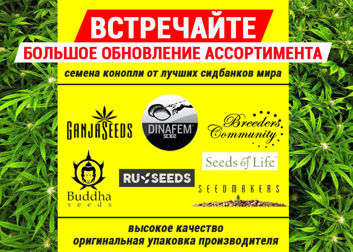 Масштабное обновление ассортимента в интернет магазине GanjaSeeds!