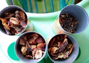 Грибная волшебная кулинария от А до Я