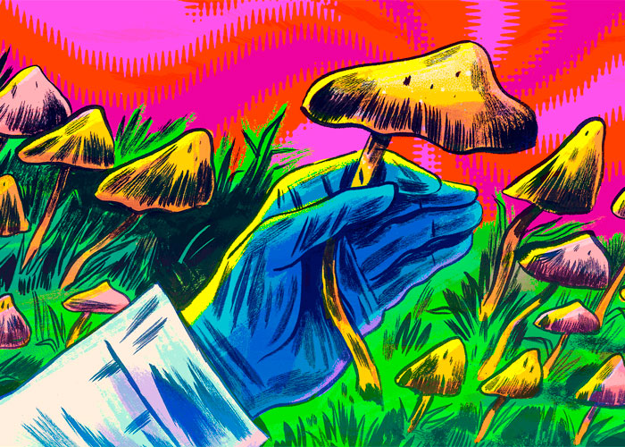 Как объяснить «паралич любителя древесины»?