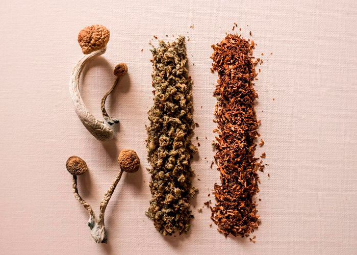 Опасно ли употреблять синеющие грибы?