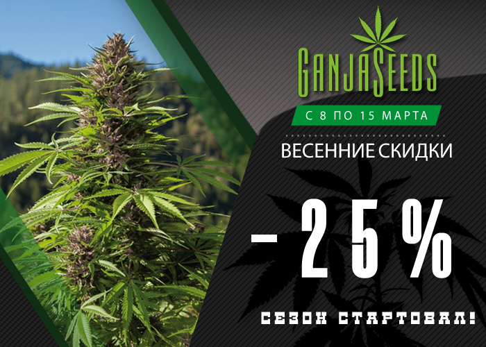 GanjaSeeds, GanjaVIP и Gribo4ek предлагают встретить весну вместе!