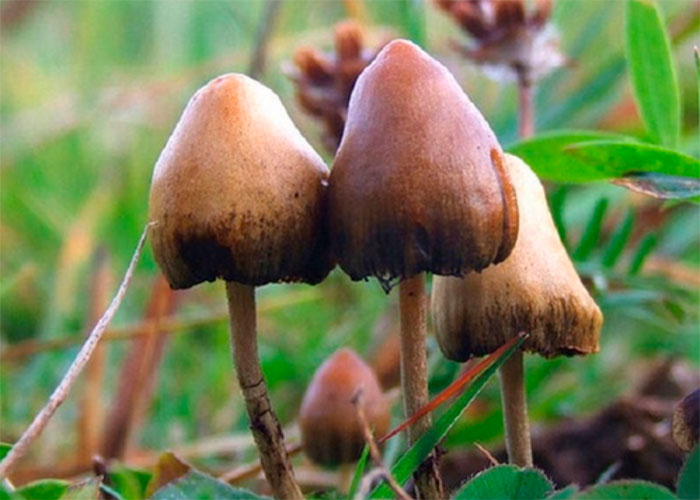 Делаем выводы