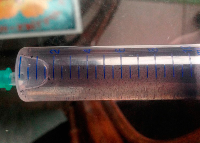 Как вырастить псилоцибиновые грибы из шприца со спорами