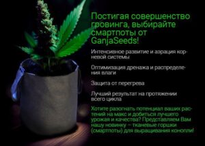 смартпоты от GanjaSeeds