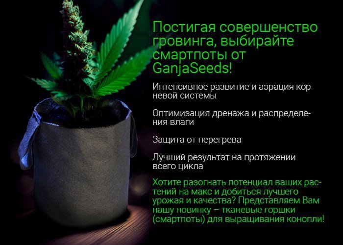 смартпоты от GanjaSeeds