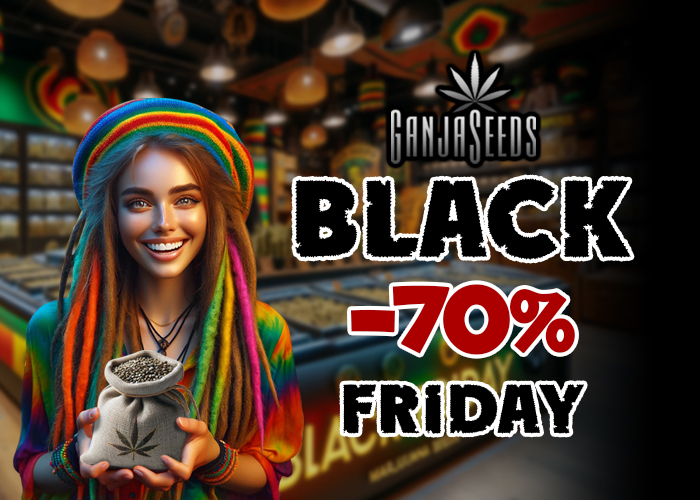 А вы готовы к Черной пятнице?