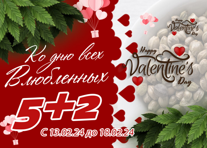 Встречайте День Святого Валентина вместе с GanjaSeeds!