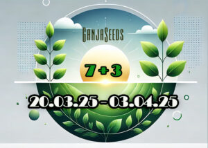 Забирай бонусы от GanjaSeeds!