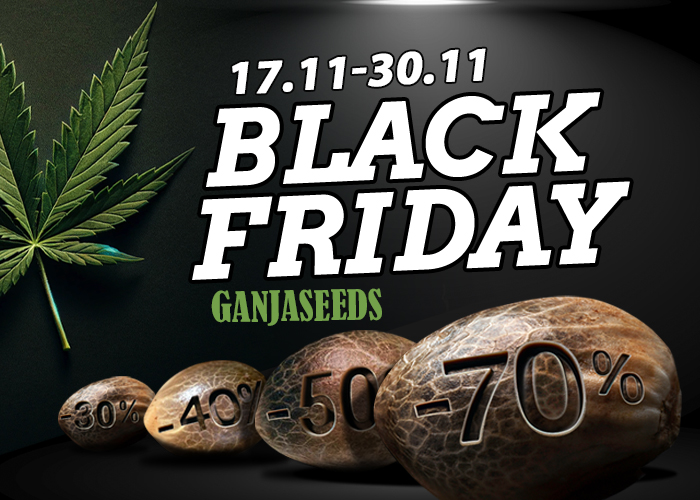 ЧЕРНАЯ ПЯТНИЦА 2025 — скидки до 70%!